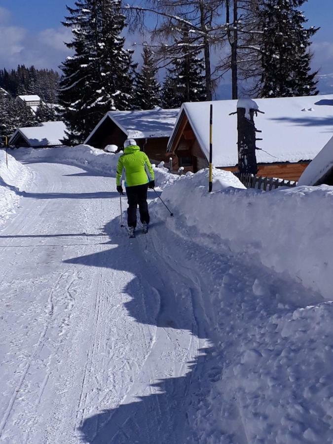 Ferienhaus Bergfee Klippitztorl 외부 사진
