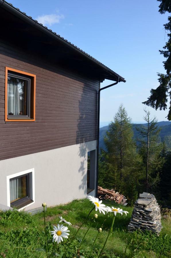 Ferienhaus Bergfee Klippitztorl 외부 사진